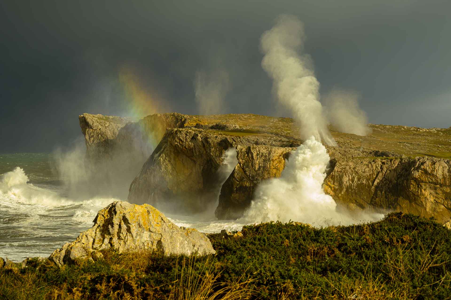 bufones de pria